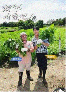 悠悠影院访谈栏目排期调整资讯配图